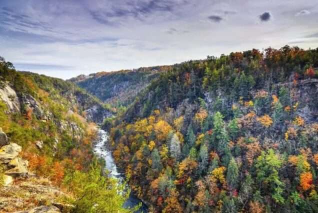 bigstock-Tallulah-Gorge-in-Georgia-USA-71315848 - Copy