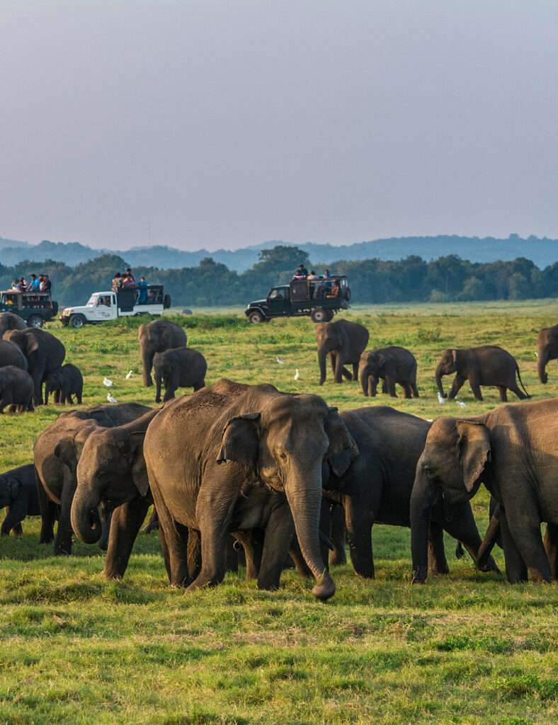 Sri Lanka